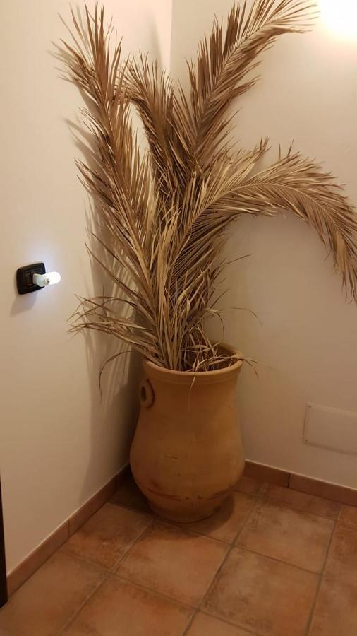 B&B L'Eucalipto Paola Buitenkant foto