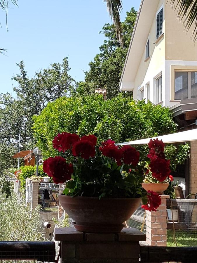 B&B L'Eucalipto Paola Buitenkant foto