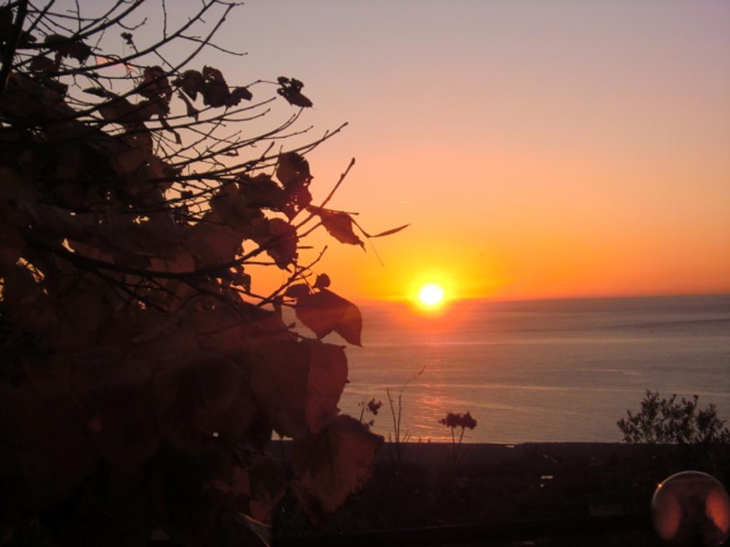 B&B L'Eucalipto Paola Buitenkant foto