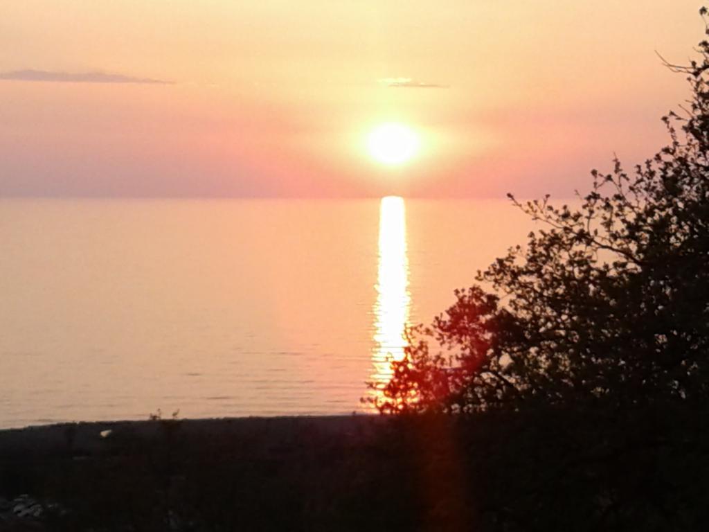 B&B L'Eucalipto Paola Buitenkant foto